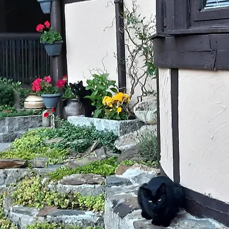 A Restaurace Belveder Romantico, Mini-zoo, Free Parking Guest house