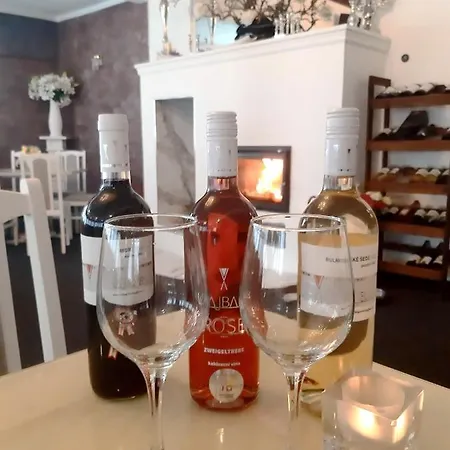 A Restaurace Belveder Romantico, Mini-zoo, Free Parking Guest house Jachymov