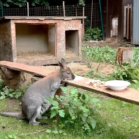 Vendégház A Restaurace Belveder Romantico, Mini-zoo, Free Parking 3*