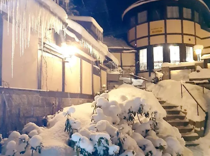 A Restaurace Belveder Romantico, Mini-zoo, Free Parking Гостевой дом Яхимов