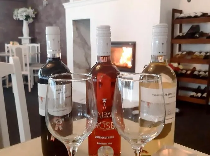 A Restaurace Belveder Romantico, Mini-zoo, Free Parking Гостевой дом Яхимов