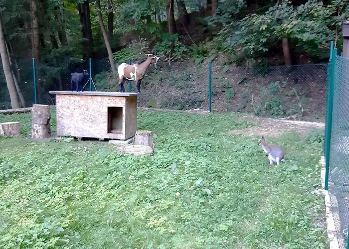 A Restaurace Belveder Romantico, Mini-zoo, Free Parking Гостевой дом